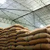 рис крупа оптом от производителя в Краснодаре
